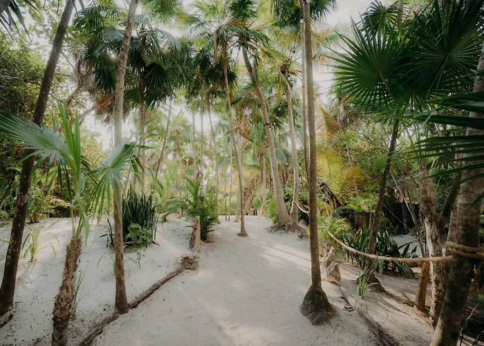 Apartamento Digital Nomad With Rooftop, 2 Pools, Gym, Coworking And Cinema Tulum